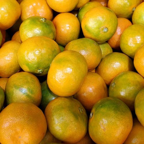 [작심밀도]자연맑음 감귤 9kg (소과/2S-S)