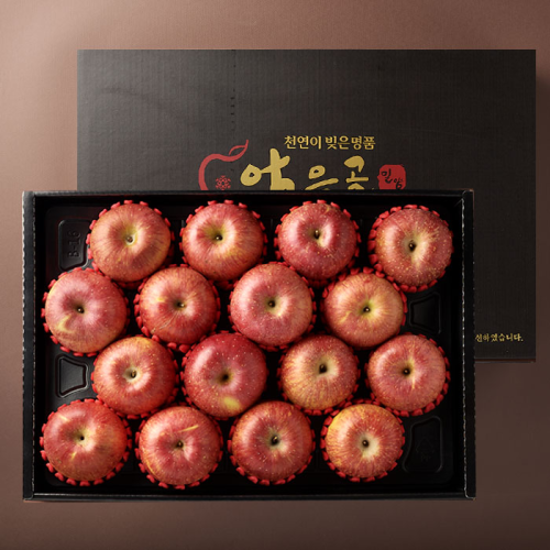 [작심밀도]산지직송 농협 밀양얼음골사과세트 4.5kg내외(14-16과) / 선물용