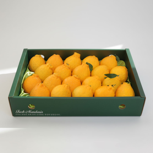 [작심밀도]제주직송 한라봉세트1호 중소과 1.5kg(7과내외) / 보자기