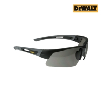 디월트 DPG100-2D 와이드뷰 보안경