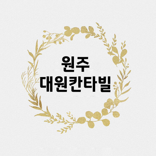 원주대원칸타빌.png