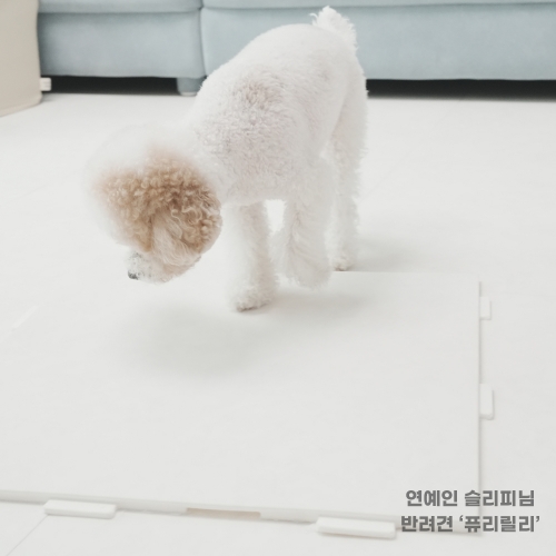 개편한매트 강아지 고양이 반려견 미끄럼방지 이편한매트