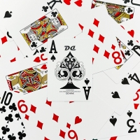 [박스 훼손 세일] DD카드 맥스 1박스(10개)