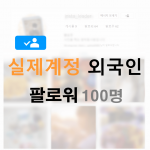 인스타 팔로워 100명 (외국인)