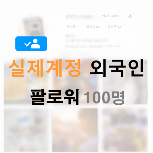 인스타 팔로워 100명 (외국인)