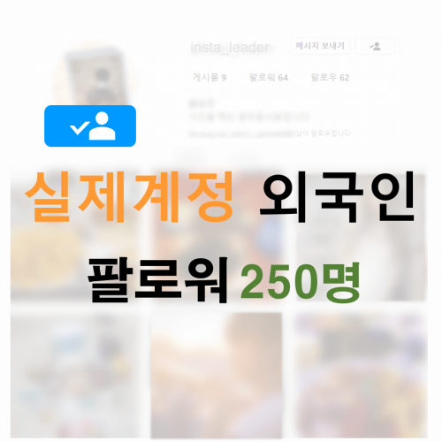 인스타 팔로워 250명 (외국인)