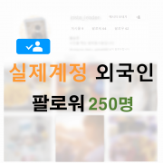 인스타 팔로워 250명 (외국인)