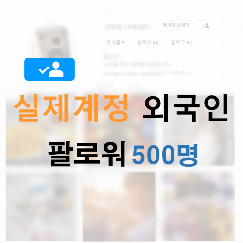 인스타 팔로워 500명 (외국인)