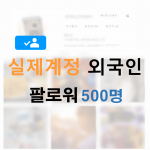 인스타 팔로워 500명 (외국인)