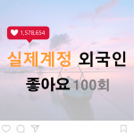 인스타 좋아요 100회 (외국인)