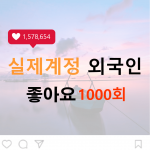 인스타 좋아요 1000회 (외국인)