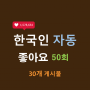 한국인 인스타 자동좋아요 50회 (30개)