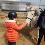 경북e누리 경산 승마체험+마스크팩만들기+경산시립박물관