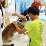 경북e누리 상주 승마체험+생물자원관+자전거박물관+상주박물관+낙단보수상레저센터