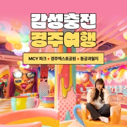 경북e누리 경주 MCY파크+엑스포공원+동궁과월지