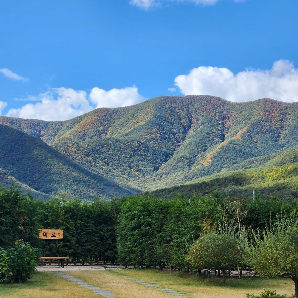 경북e누리 포항 전통문화체험관+애플리카페