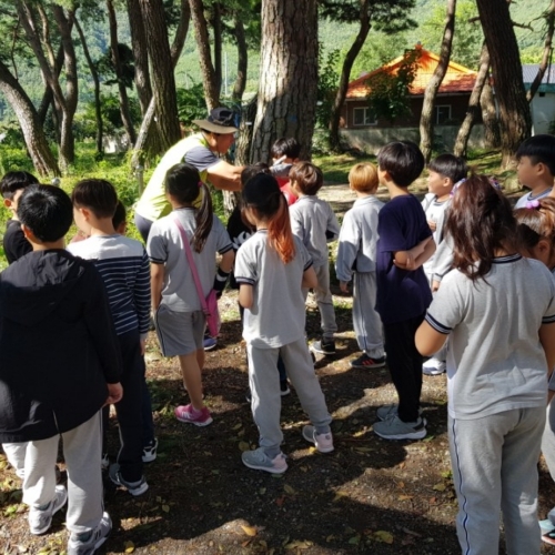 경북e누리 포항 전통문화체험관+애플리카페