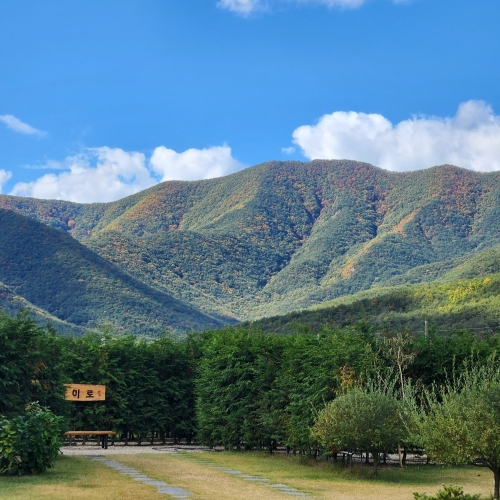 경북e누리 포항 전통문화체험관+애플리카페