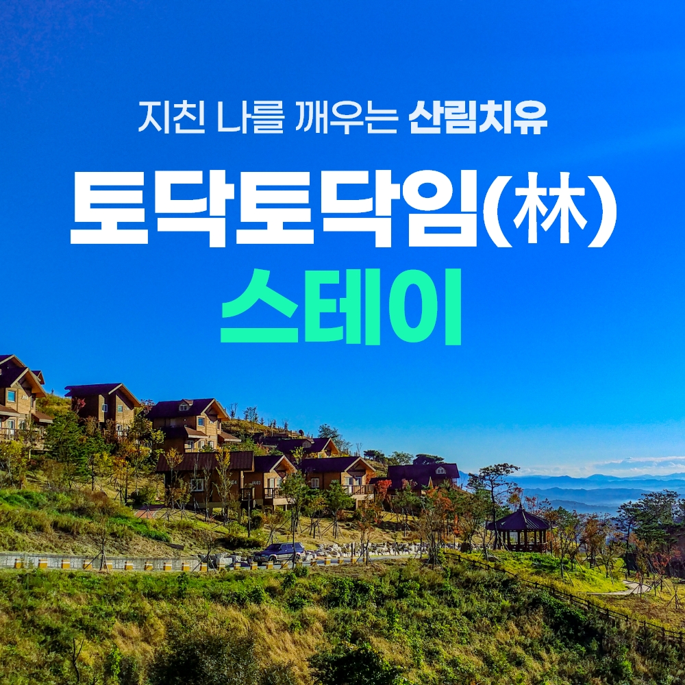 경북 웰니스여행 영주 국립산림치유원+소수서원