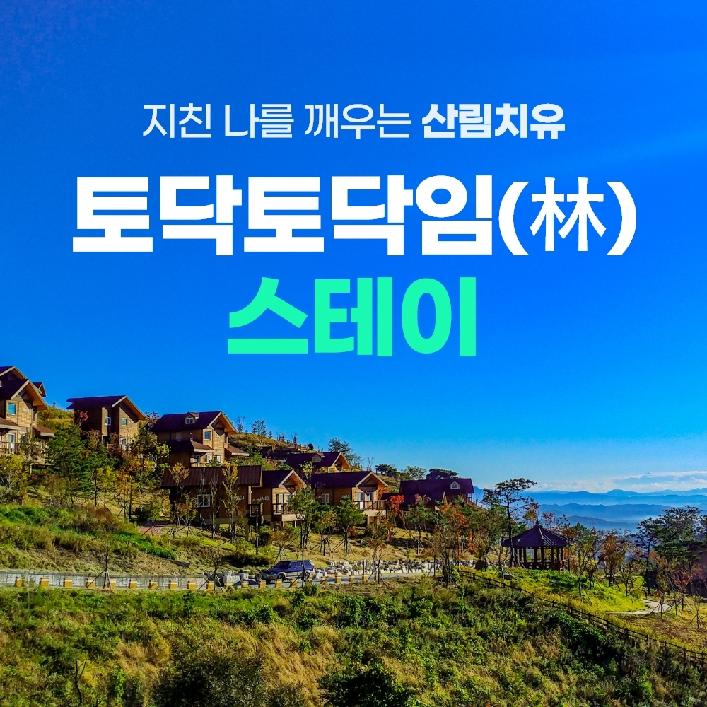 경북 웰니스여행 영주 국립산림치유원+소수서원