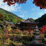 경북 웰니스여행 영주 국립산림치유원+소수서원