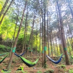 경북 웰니스여행 예천 국립산림치유원+곤충체험관+목재문화체험장