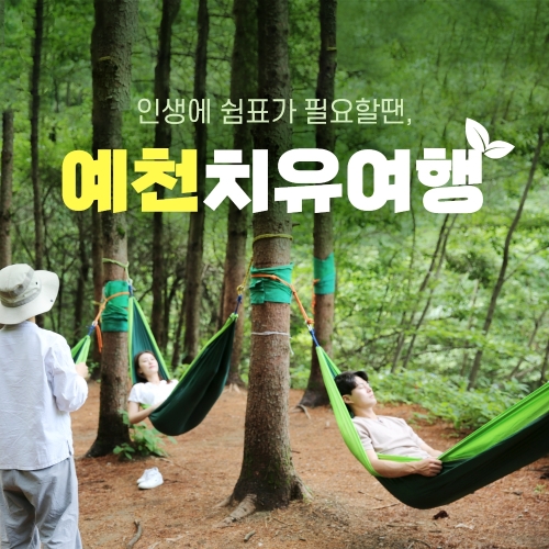 경북 웰니스여행 예천 국립산림치유원+곤충체험관+목재문화체험장