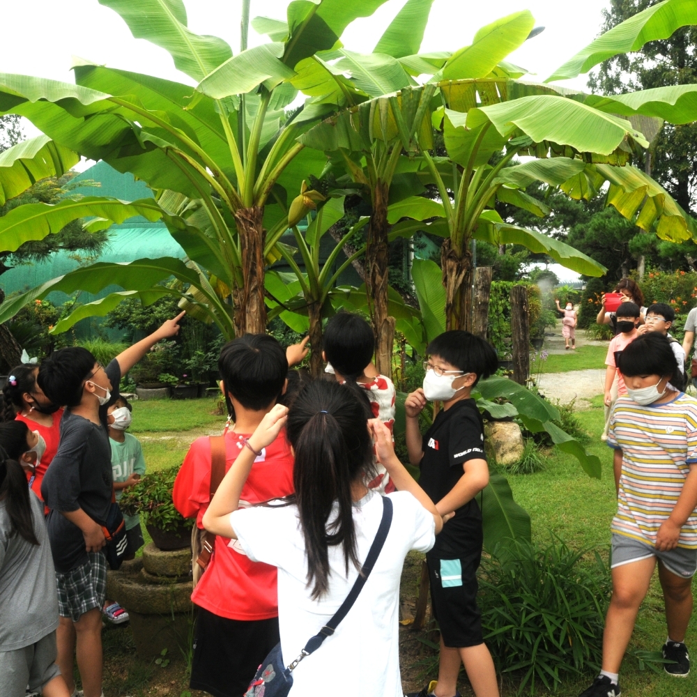 경북e누리 예천 활체험센터+신라식물원