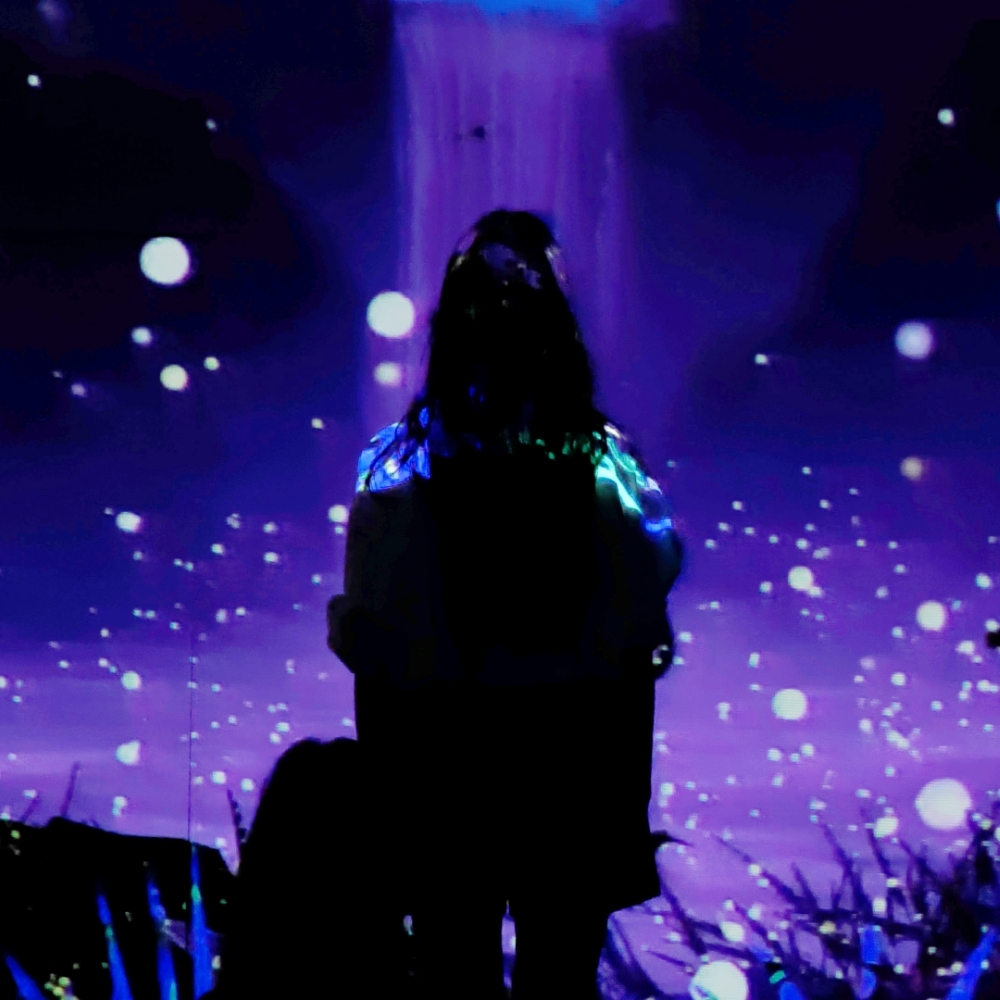 경북e누리 경주(정글의법칙+엑스포공원)