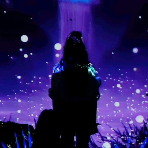 경북e누리 경주(정글의법칙+엑스포공원)