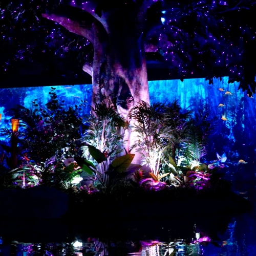 경북e누리 경주(정글의법칙+엑스포공원)