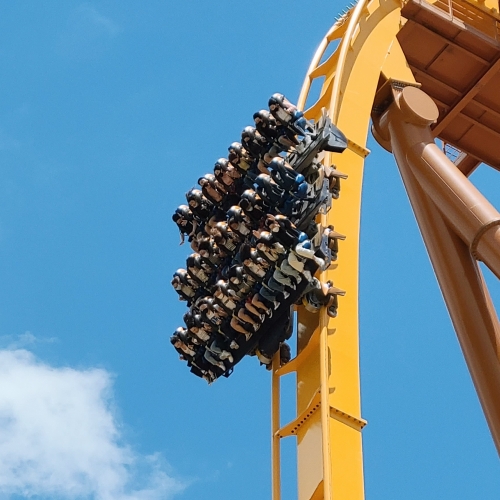 경북e누리 경주 경주월드+정글의법칙