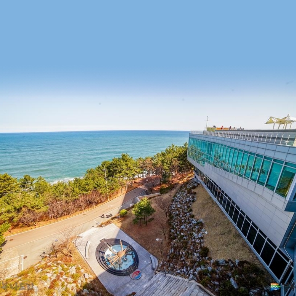 경북 웰니스여행 영덕(조이풀빌리지+트릭아트전시관+신재생에너지전시관)