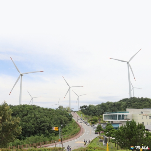 경북 웰니스여행 영덕(조이풀빌리지+트릭아트전시관+신재생에너지전시관)