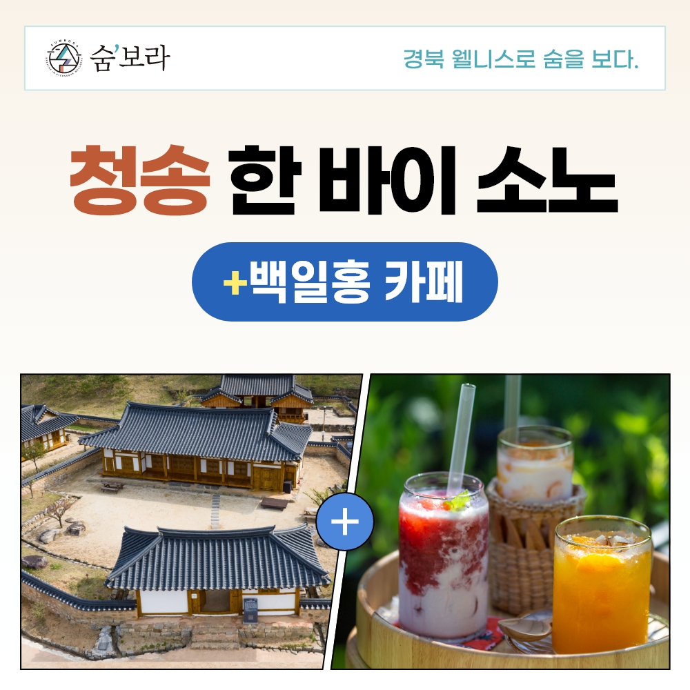 경북 웰니스여행 청송 (한바이소노+백일홍 카페)