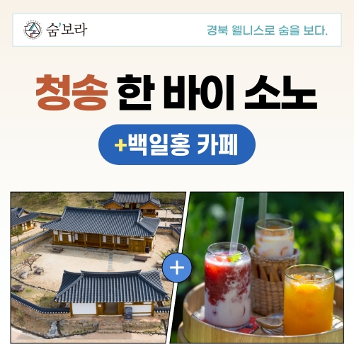 경북 웰니스여행 청송 (한바이소노+백일홍 카페)