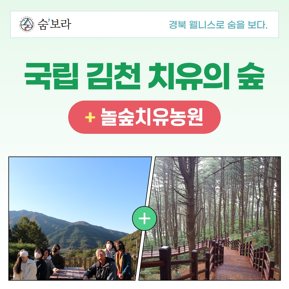 경북 웰니스여행 김천 (국립김천치유의숲+놀숲치유농원)