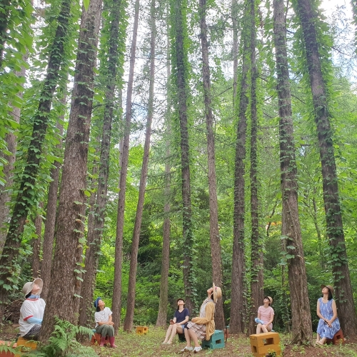 경북 웰니스여행 김천 (국립김천치유의숲+놀숲치유농원)