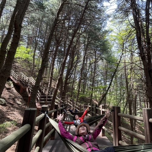 경북 웰니스여행 김천 (국립김천치유의숲+놀숲치유농원)