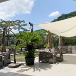 경북 웰니스여행 경산 동의한방촌+인포그카페