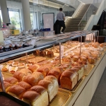 경북 웰니스여행 경산 동의한방촌+인포그카페