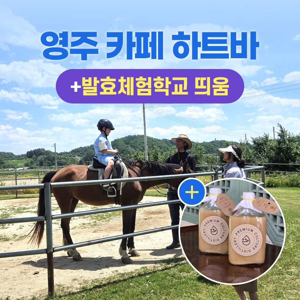 경북e누리 영주 하트바+발효체험학교 띄움