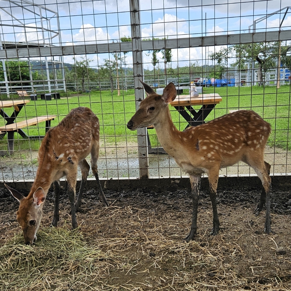 경북e누리 영주 하트바+발효체험학교 띄움