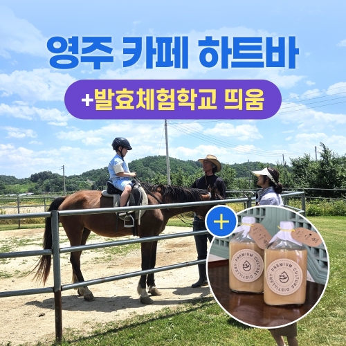 경북e누리 영주 하트바+발효체험학교 띄움