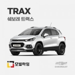 트랙스 (2013.5-2022)