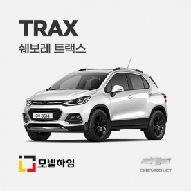 트랙스 (2013.5-2022)