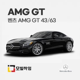 AMG GT (2019.10-)