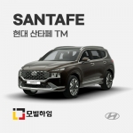 산타페 TM (2019-2022)