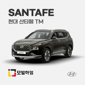 산타페 TM (2019-2022)