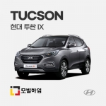 투싼 IX (2009-2015)